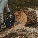 Schneiden der Bäume