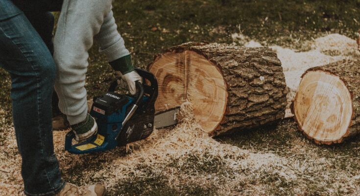 Schneiden der Bäume