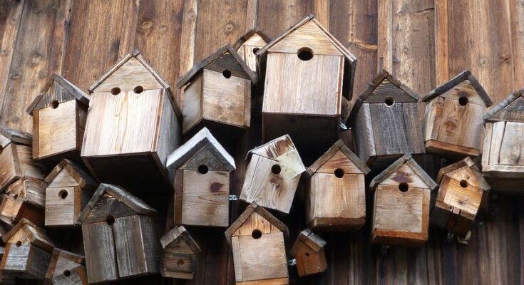 Vogelfutterhӓuser im Garten